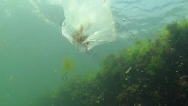 垃圾水聚乙烯袋杀死<strong>海洋</strong>动物蟹这一点<strong>生态</strong>自然塑料黑色的海乌克兰
